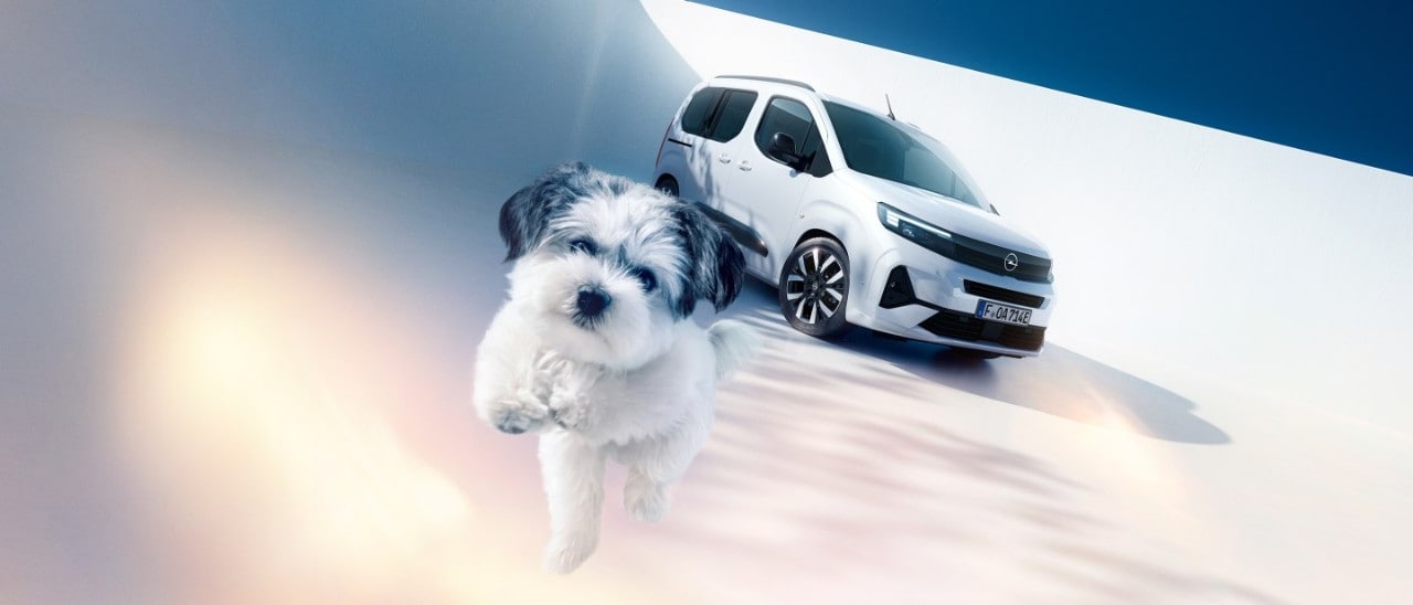 Opel Combo Electric sett forfra med en hund